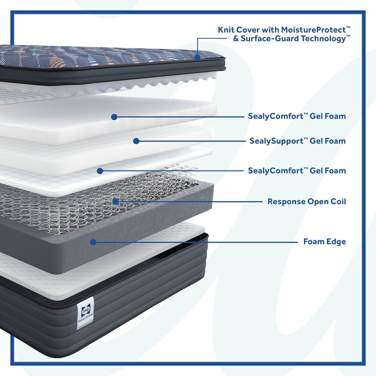 Special Edition - Warner Euro Pillow Top Soft