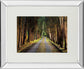 Tree Tunnel By Michael Tunnel And Mossy Oak Native Living - Mirror Framed Print Wall Art - Green