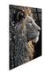 Starlit Sovereign I Tempered Glass With Foil & Rhinestones - Black / Gold