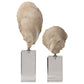 Oyster - Shell Sculptures (Set of 2) - Beige