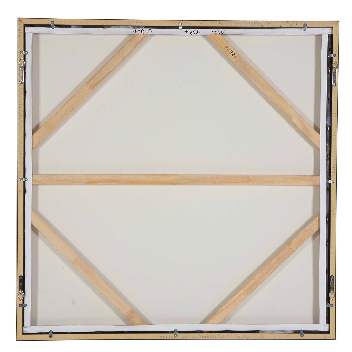 Natural Wonder - Framed Floral Art - Blue