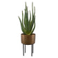 Arabia - Aloe Planter - Brown