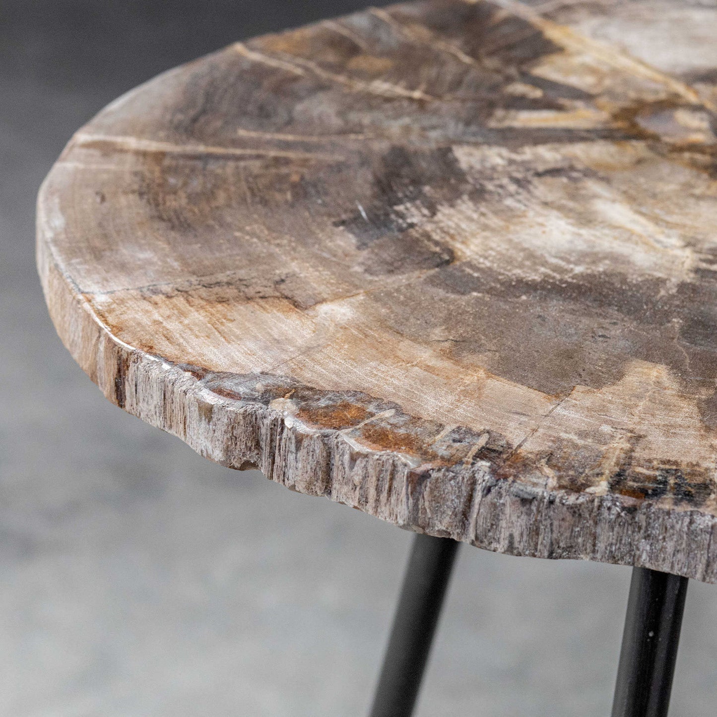 Mircea - Petrified Wood Accent Table - Black & Light Brown