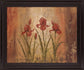 Rustic Crimson Irises - 28" x 34" Framed Wall Art