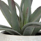 Taos - Aloe Centerpiece - Pearl Silver
