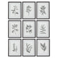 Farmhouse Florals - Framed Prints (Set of 9) - Black