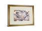 Petal Perfect By Assaf Frank - Framed Print Wall Art - Beige