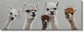 Whimsical Llama Lineup - 20" x 60" Framed Wall Art - Gray