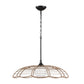 Lakeside - Indoor-Outdoor 1 Light Pendant - Black
