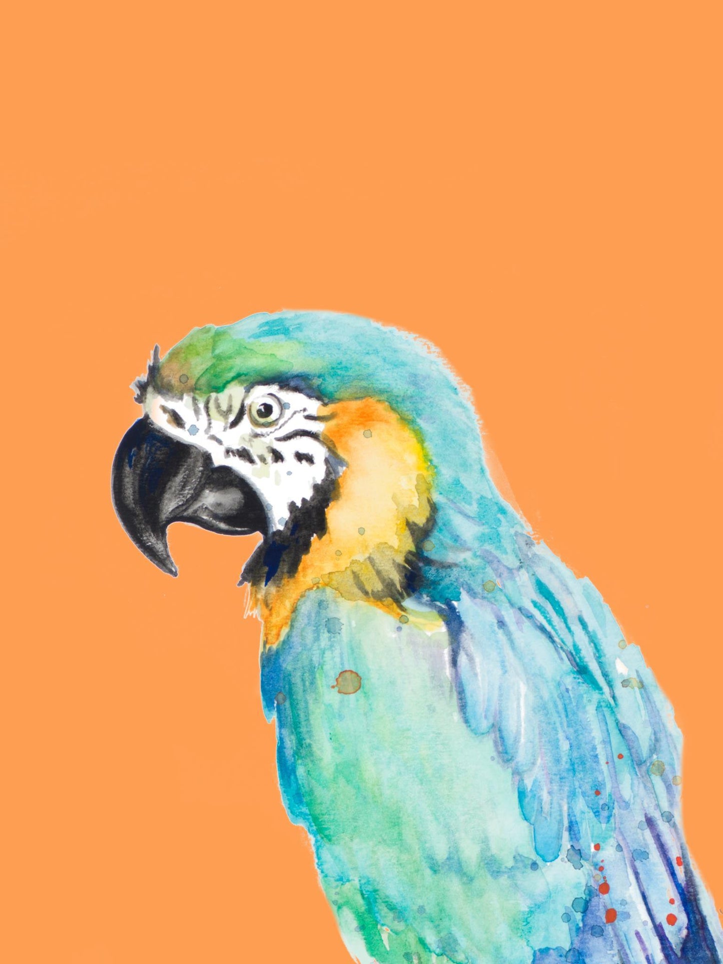 Parrot Portrait By Patricia Pinto - Orange