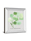 Pilea Peperomioides By Katrien Soeffers - Mirror Framed Print Wall Art - Green
