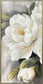 Gold Peony II Hand-Embellished Canvas In Frame - Ivory / Gray