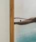 Brunonia - Wall Art - Teal / Orange / Black