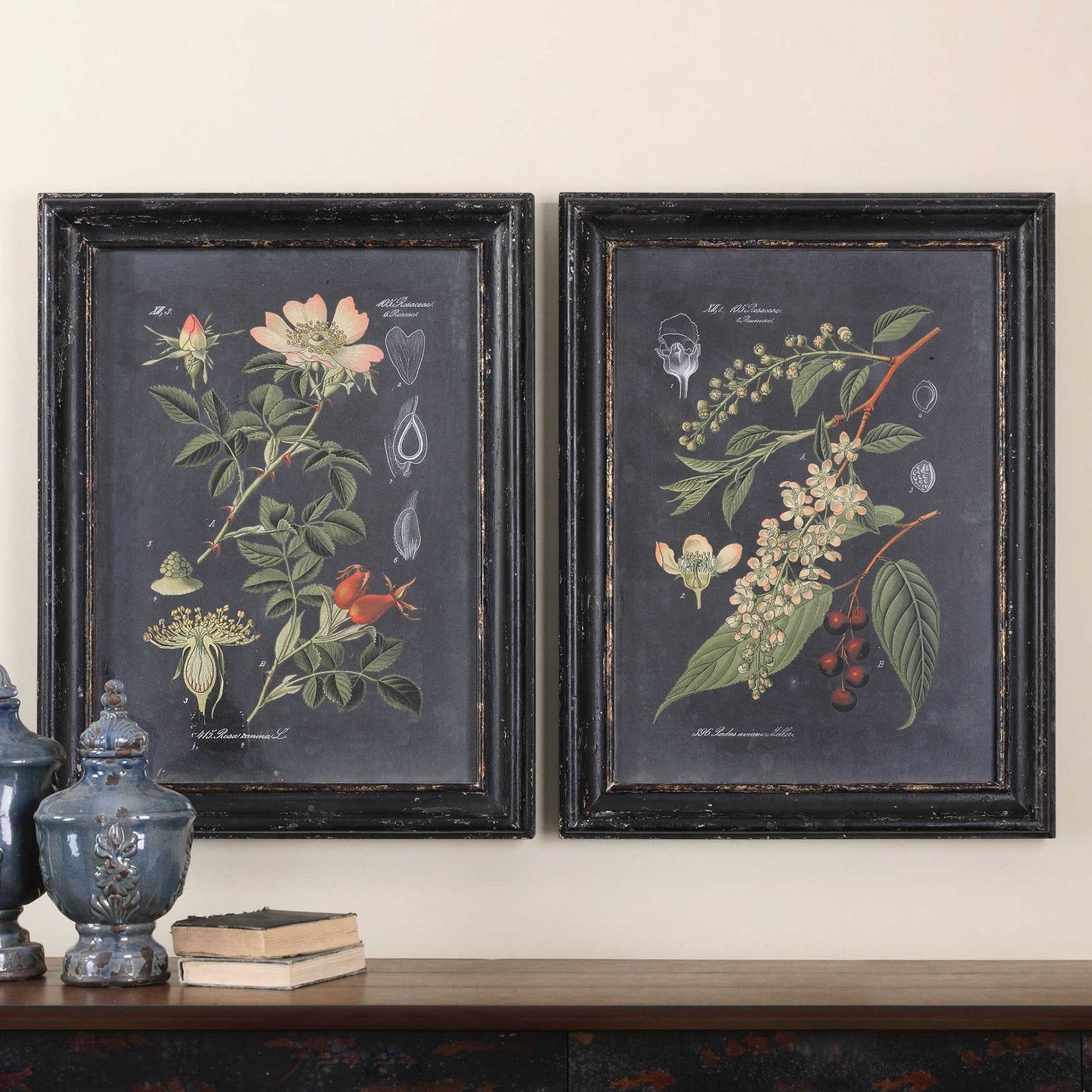 Midnight Botanicals - Wall Art (Set of 2) - Black