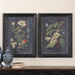 Midnight Botanicals - Wall Art (Set of 2) - Black