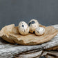 Nest Trio - Indoor-Outdoor Stone Eggs (Set of 3) - Black / White