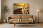 Tempered Glass With Foil - Lion Safari - Light Brown
