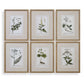 Green Floral Botanical Study - Prints (Set of 6) - Green