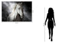 Tempered Glass With Foil - Mystical White Horse - Dark Gray