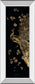 Gilded Peacock Triptych I By Jennifer Goldberger - Black