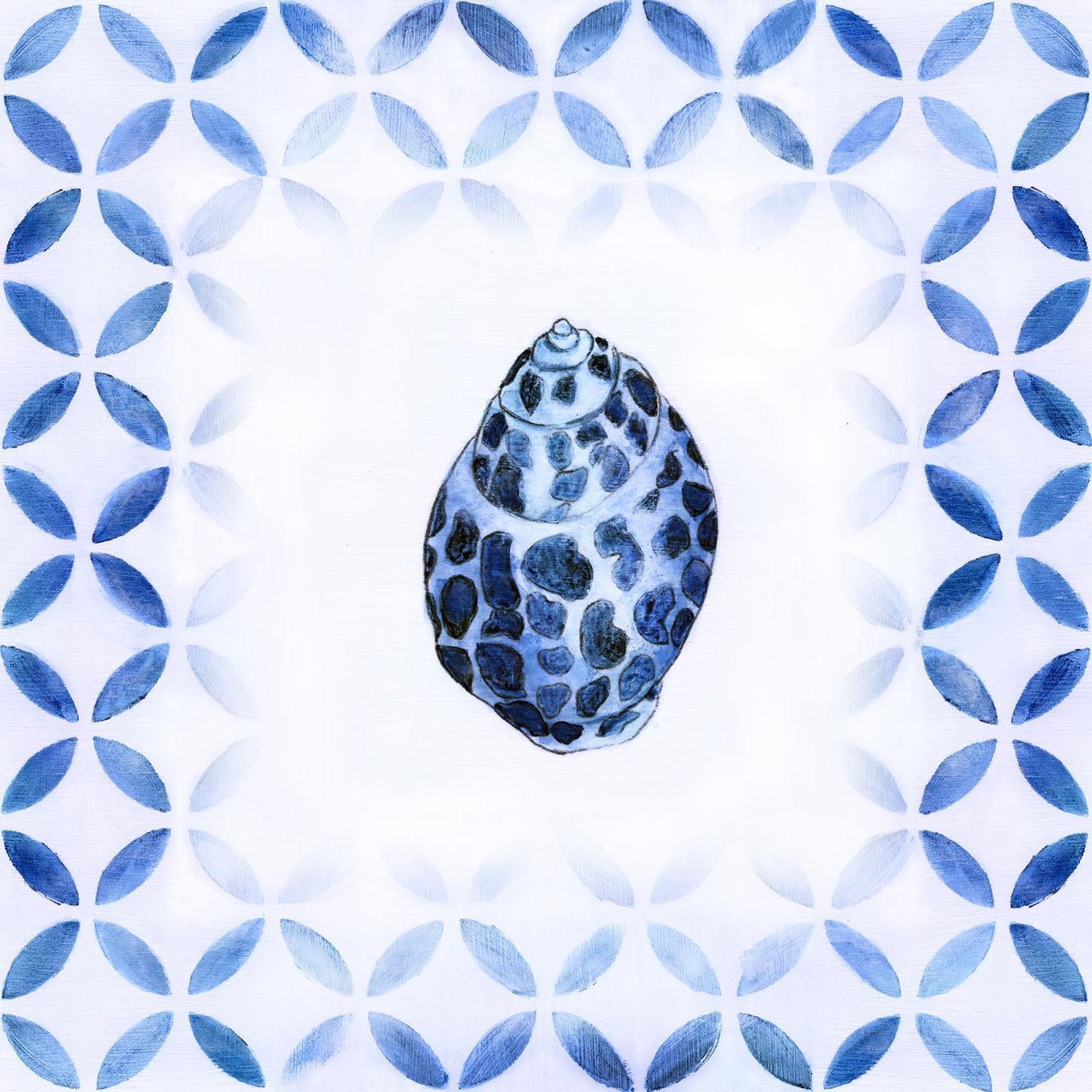 Framed - Royal Blue Shell II By Tava Studios - Blue