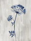 Small - Indigo Botanical I By Conrad Knutsen - Blue