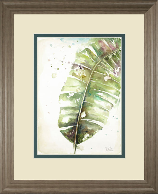 Watercolor Plantain Leaves Il By Patricia Pinto - Framed Print Wall Art - Green