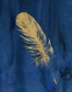 Framed Small - Golden Feather III By Carol Robinson - Blue