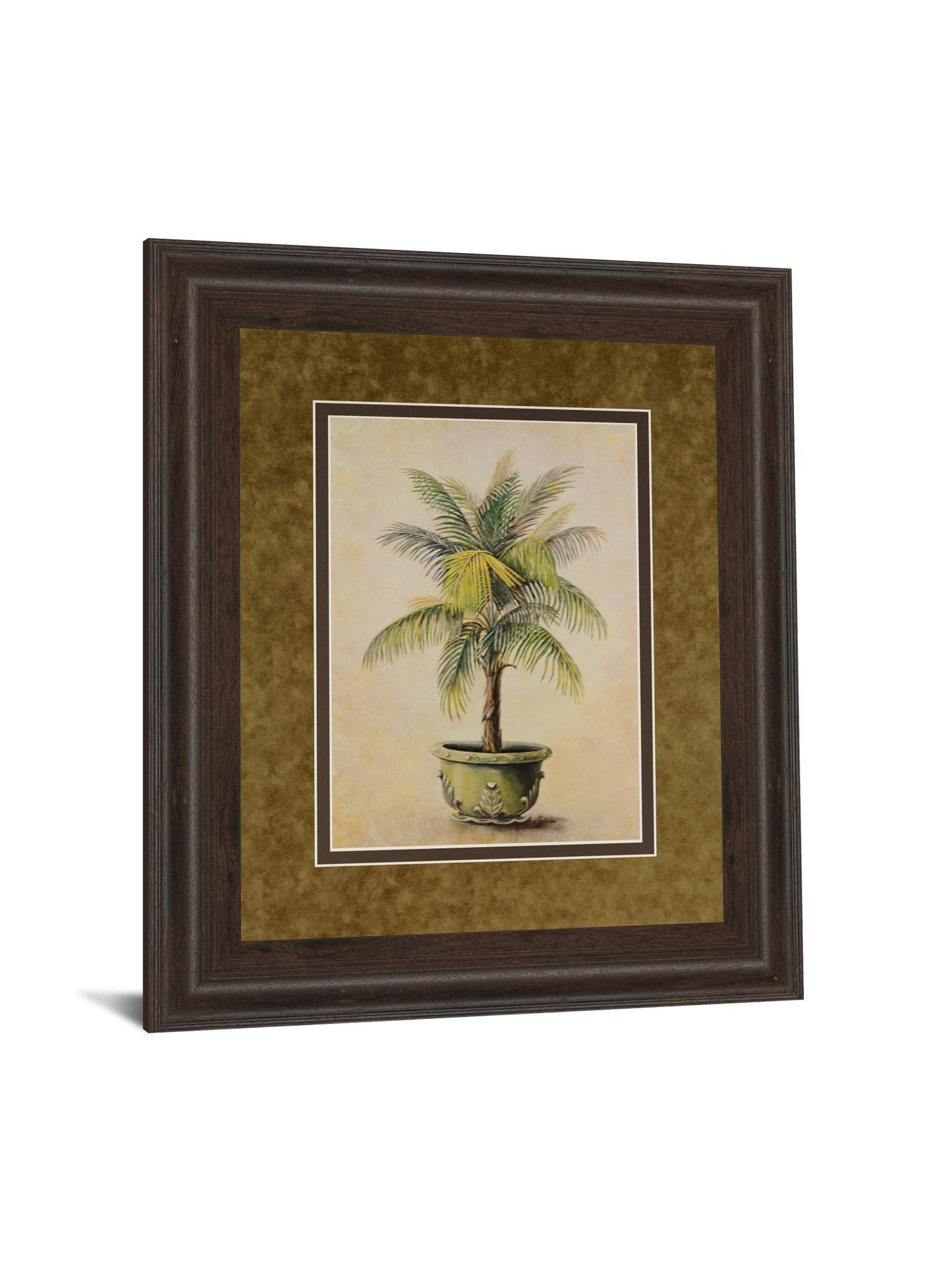 Potted Palm I - Framed Print Wall Art - Green