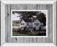 The Counrty Inn By Saunders B. Mirrored Frame - Green