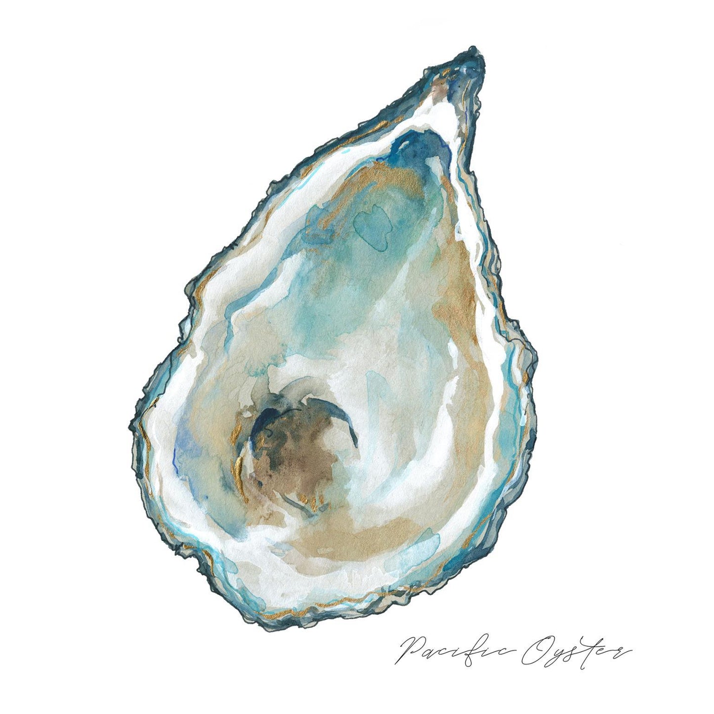 Pacific Oyster By Carol Robinson - White