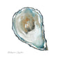 Framed - Atlantic Oyster By Carol Robinson - Blue