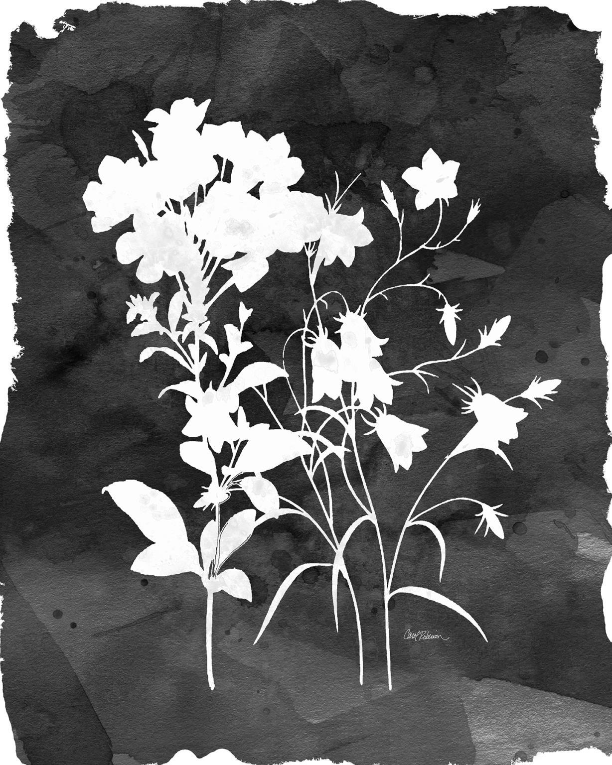 Black Botanical II By Carol Robinson - Dark Gray