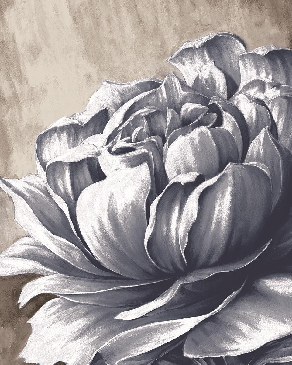 Framed Small - Charming Floral II By Dogwood Portfolio - Gray