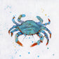 Framed - Bubbly Blue Crab By Sally Swatland