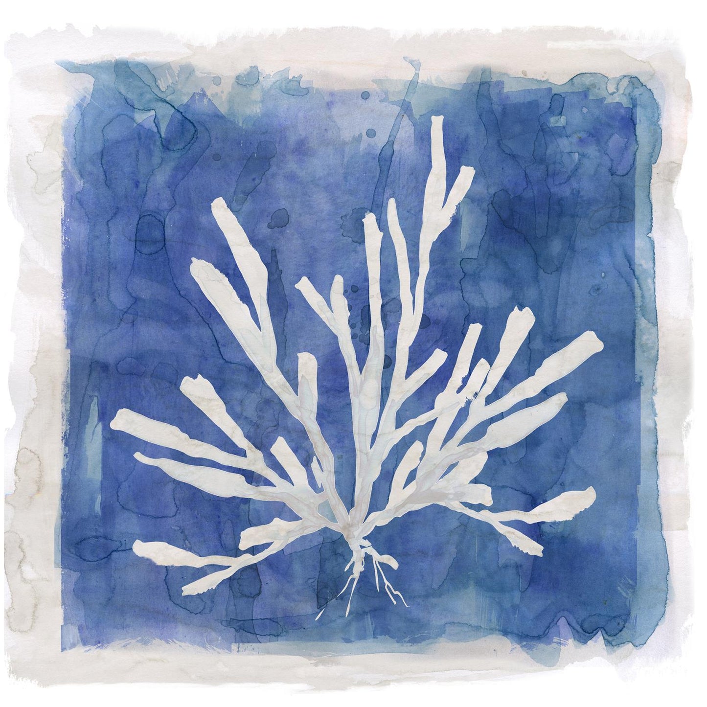 Framed Small - Coastal Washes Coral I By Carol Robinson - Blue