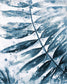 Framed - Blue Jungle Leaf II By Patricia Pinto
