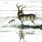 Framed Small - Rustic Misty Deer By Ruane Manning - Light Brown