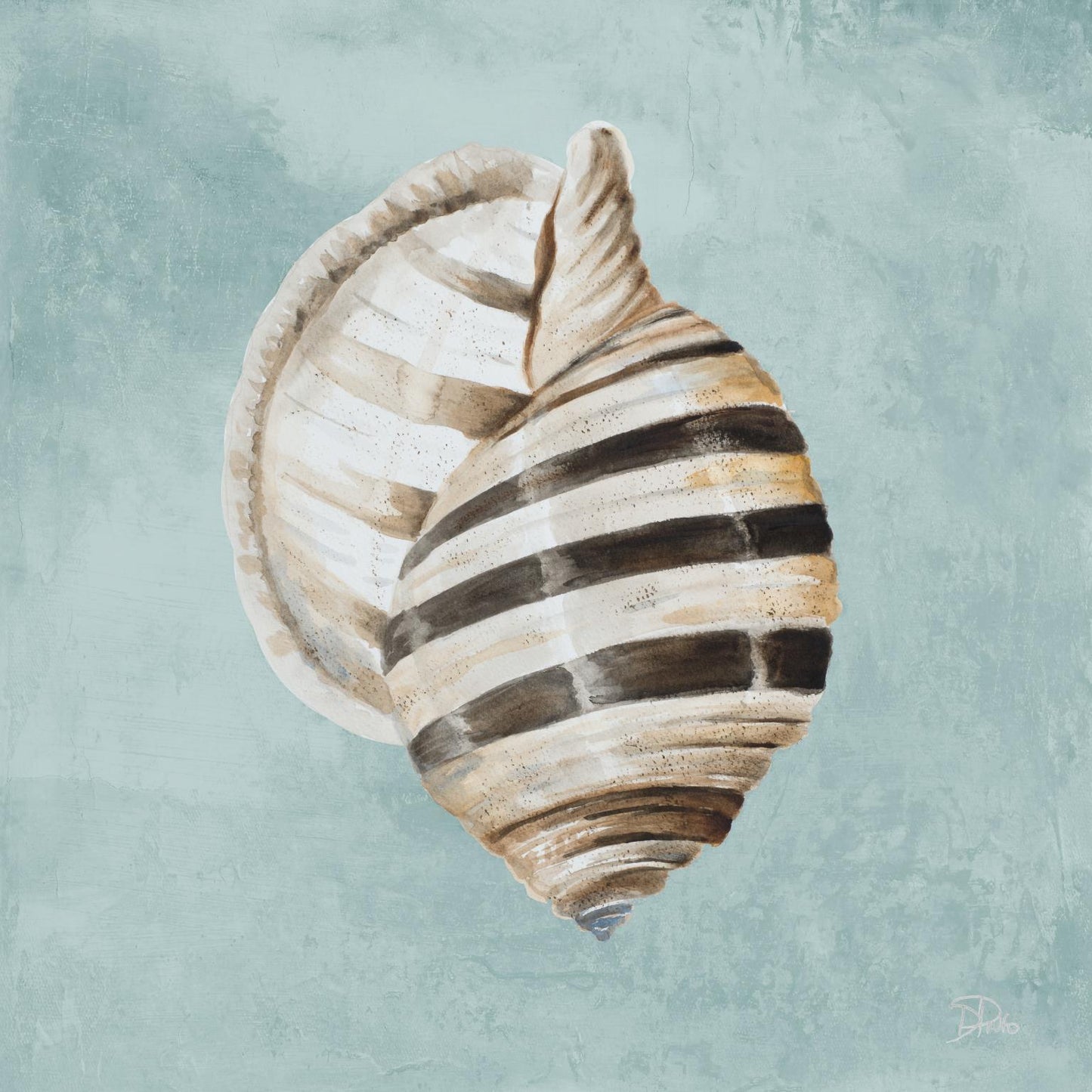 Modern Shell On Teal I By Patricia Pinto - Light Blue