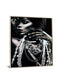 Floating Tempered Glass With Foil Pretty Woman - Dark Gray