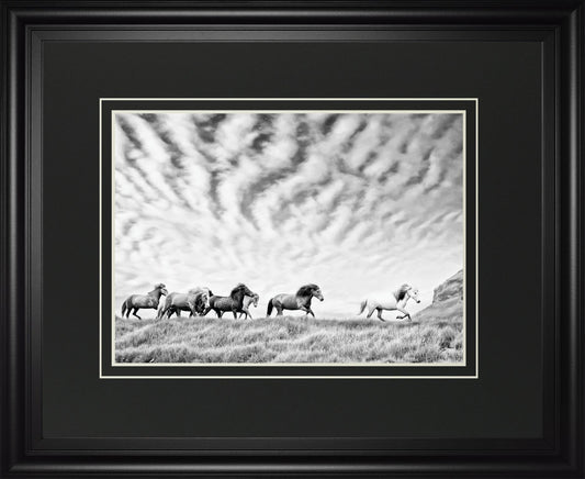 Horse Run III By PHBurchett - Pearl Silver