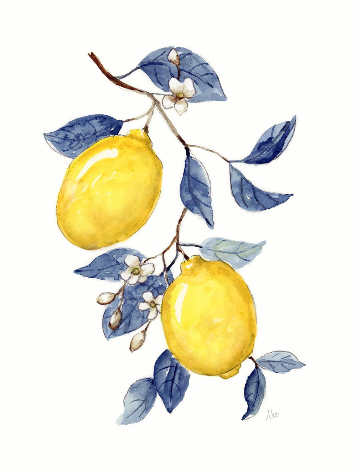 Framed Small - Odyssey Lemons II By Nan - Yellow