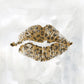 Framed Small - Leopard Kisses I By Carol Robinson