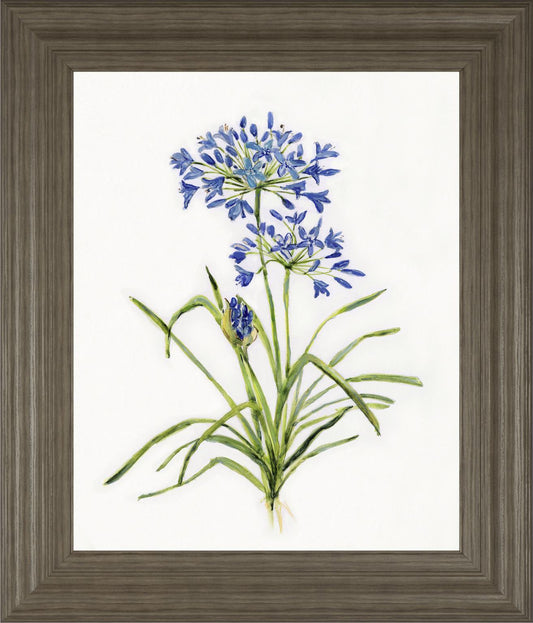 22x26 Blue Lively Botanical I By Sally Swatland - Blue