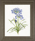 22x26 Blue Lively Botanical I By Sally Swatland - Blue