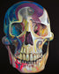 Framed - Haunted Skull By Andy Beauchamp - Black