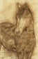Framed - Sketched Horse By Elizabeth Medley