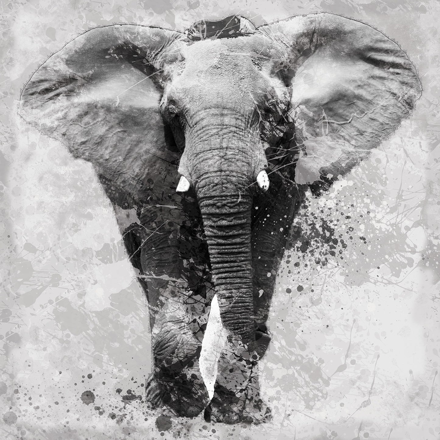 Small - Proud Elephant By Carol Robinson - Dark Gray