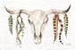 Framed Small - Tribal Skull II By Marla Rae
