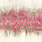 Framed Small - Crossing I By Dan Meneely - Pink